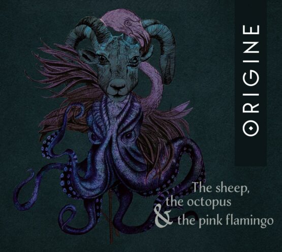 Origine - The Sheep, The Octopus and the Pink Flamingo